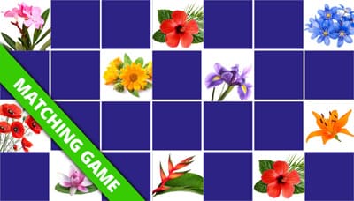 Play matching game for seniors - Flowers - Online & Free | Memozor