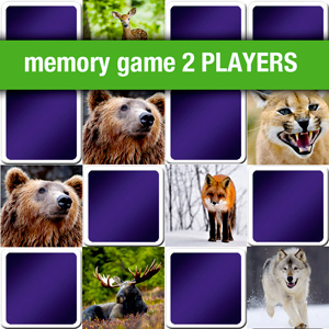 matching game 2 players - animals