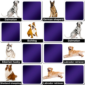 matching game animals - dog breeds matching game animals - dog breeds