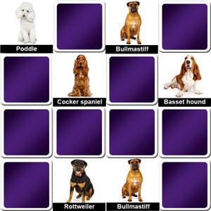 Dog breeds online matching game for seniors
