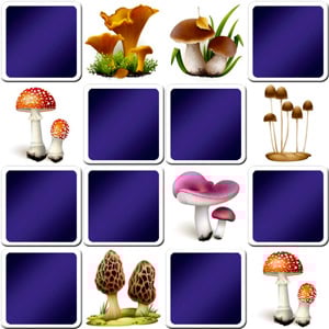 Mushrooms game