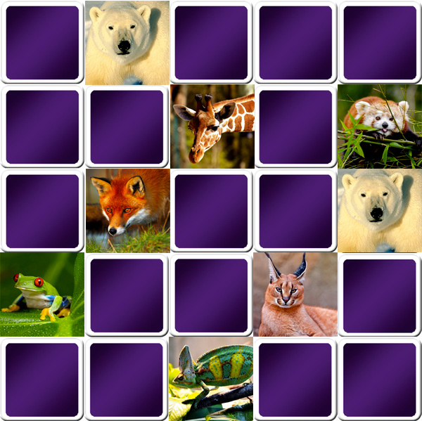 Play Big Matching Game Animals Online And Free Memozor