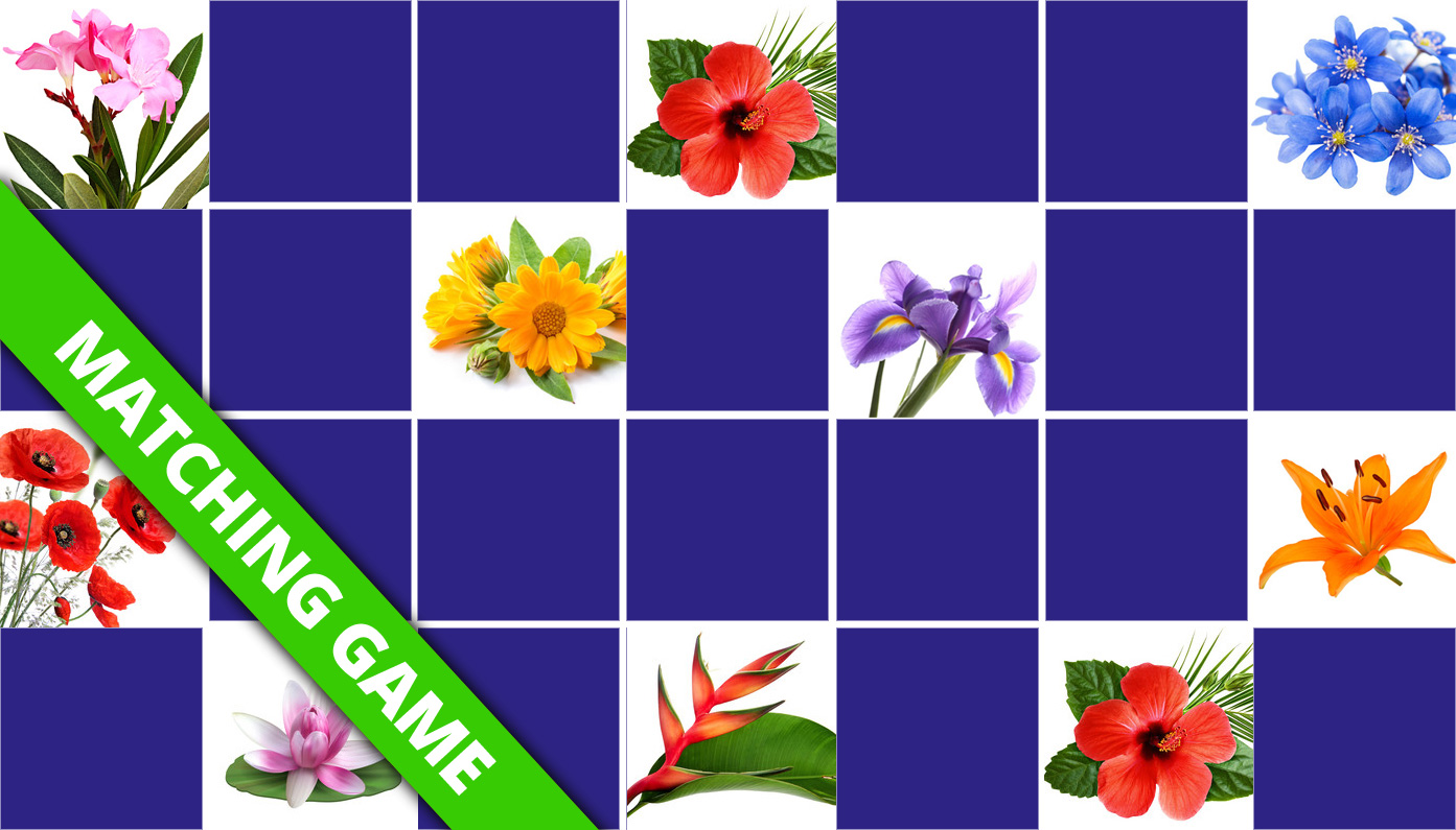 Play Matching Game For Seniors Flowers Online Free Memozor