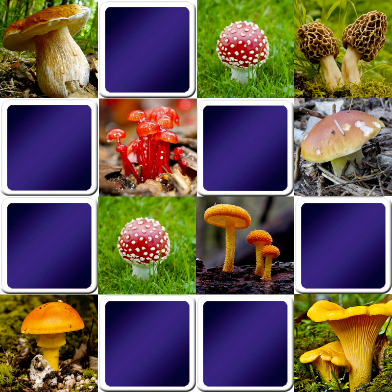 Play matching game for adults - Mushrooms - Online & Free ...