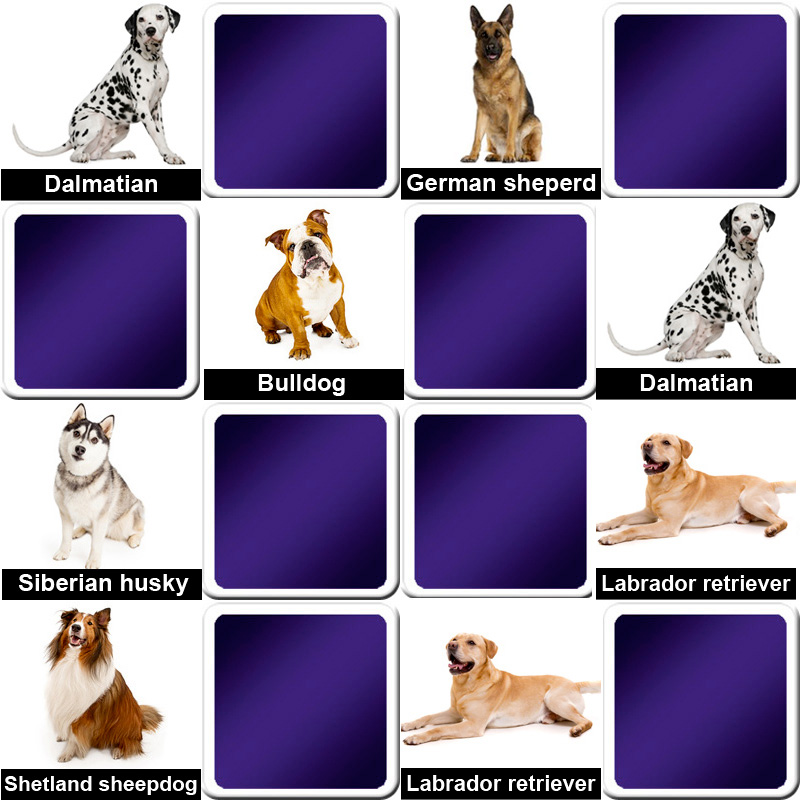 https://www.memozor.com/templates/memoire/images/zoom/memory_game_animals_dog_breeds.jpg