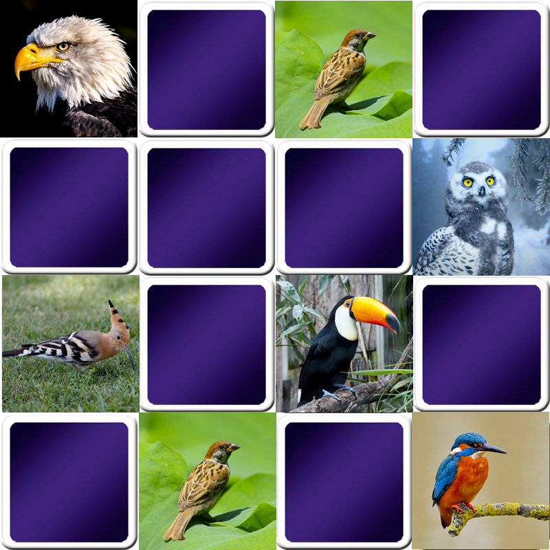 Play matching game for seniors - Birds - Online & Free | Memozor