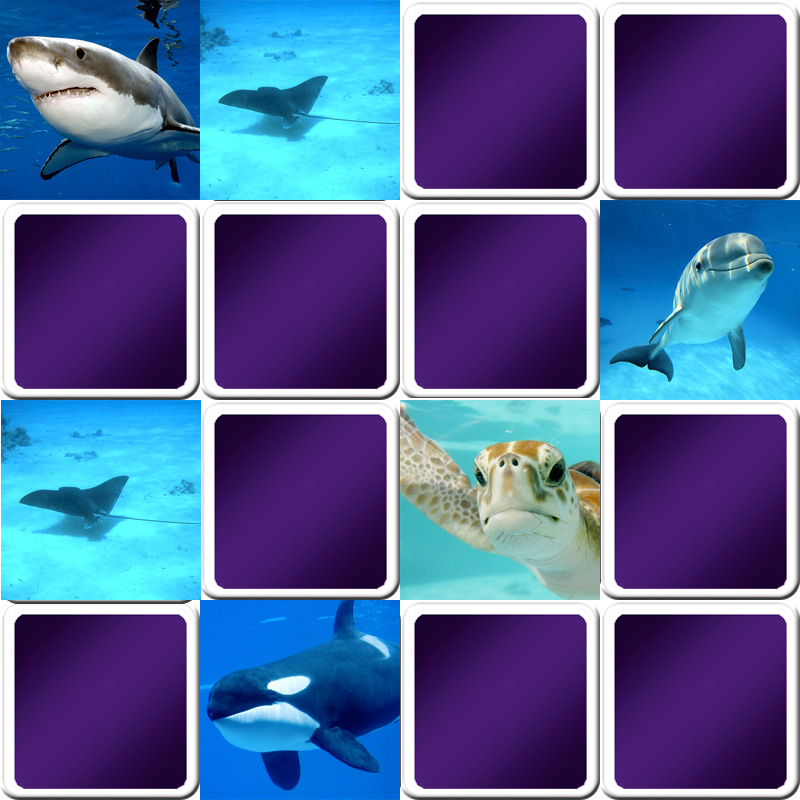 Play matching game for seniors - marine animals - Online & Free | Memozor