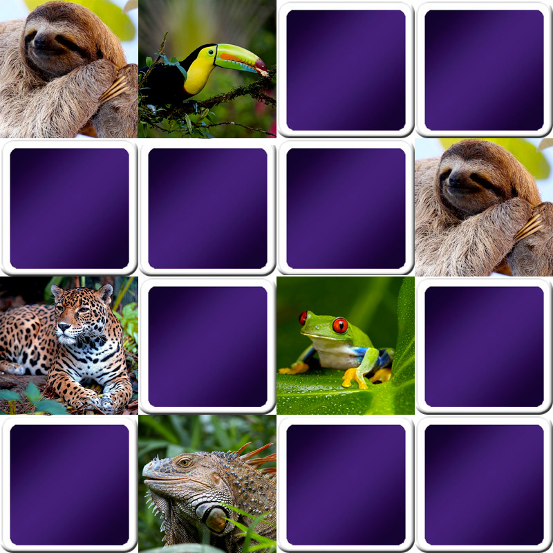 Great memory game for seniors - tropical animals - Online ...