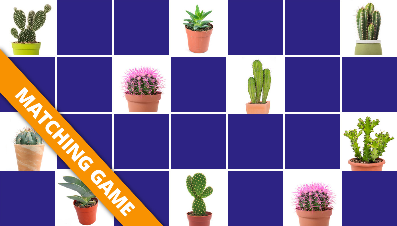 Great Memory Game For Seniors Cactus Online And Free Game 